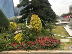 -顺峰山公园