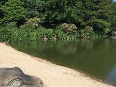 -佛山祈福仙湖酒店