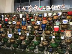 -雅和睿景·商务宴·风味土窑鸡(花博汇店)