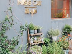 -IFIF 如果花園(宽厚里店)