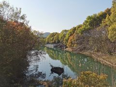 -白马涧龙池景区