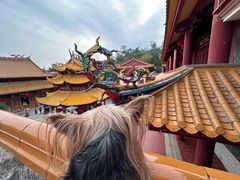 -梵天禅寺