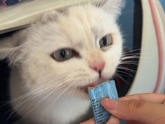 -瑞派福兴宠物医院犬猫全科·骨科·中西医结合(河东店)