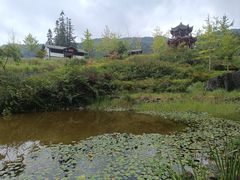 -梭布垭石林景区