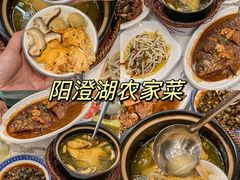 -蟹天蟹地农家菜·阳澄湖大闸蟹(浅水湾店)