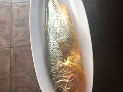 -诺莱仕游艇会