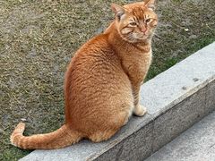 -南门涮肉(上海一店)