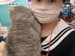 -FAELING PETS美天灵宠物(合生汇店)