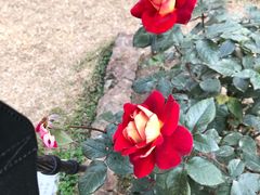 -人民公园(罗湖区)