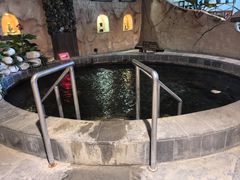 -泉城欧乐堡戏水湾艺术养生温泉