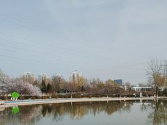 -太阳宫公园