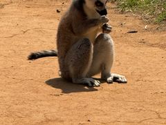 -秦皇岛野生动物园