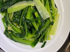 -新渝城·川菜·火锅(区庄店)