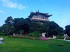 景点-荔枝公园(福田区)