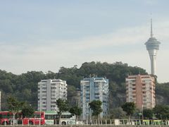 -澳门环岛游湾仔码头