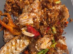 -避风塘·金牌店·夜宵(金玉兰店)