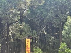 -七曲山风景区