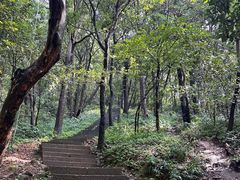 -灵顺寺