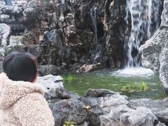 -檀园