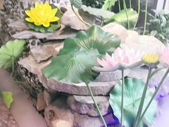 -蕃茄述·好汤自然来(江汉路店)