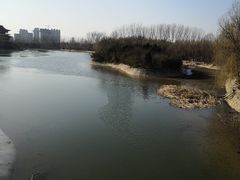 -禹州森林植物园