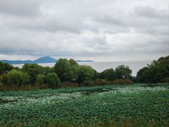 -上海市保健医疗中心