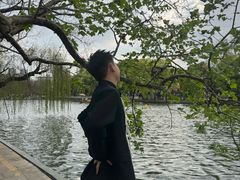 -翠湖公园
