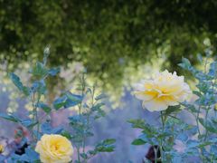 -人民公园(罗湖区)