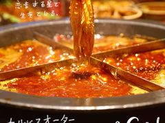 -陈眼镜火锅(总店)