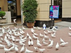 -王府井奥莱临潼小镇(临潼店)