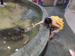 -嘉兴海底世界