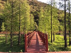 -广州市石门国家森林公园