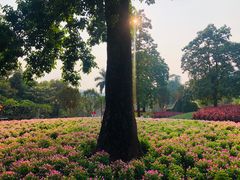 -广州市流溪河国家森林公园