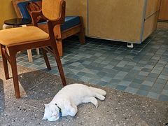 -彳亍咖啡·这里(水湾路店)