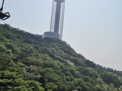 -富斯特索道