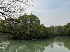 -西溪国家湿地公园