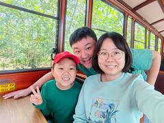 -合肥滨湖国家森林公园