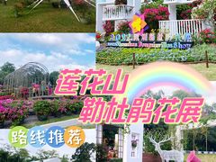 -莲花山公园