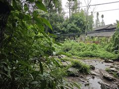 -峨眉山报国寺