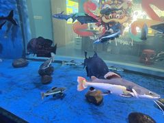 -顺德南宏海立方海洋公园