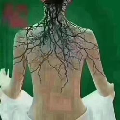 -香薇妮丝·定制减肥·身材管理