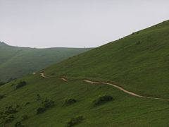 -大姆山草场