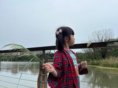 -昆山城市生态森林公园