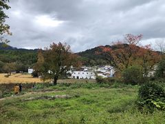 -塔川景区