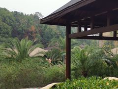 -咸宁万豪温泉谷度假区