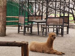 -秀丽东方