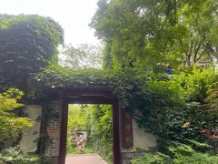 -济南大明湖景区