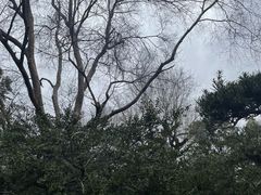 -和平公园