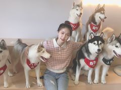 -Husky Go! 哈士奇体验馆·宠物咖啡厅狗咖