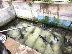 -姥家大锅台水库渔家